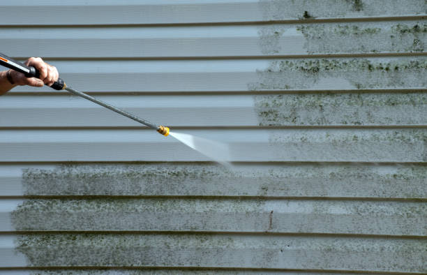Deck Cleaning Services in Charlotte, TN