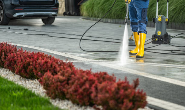 Best Power Washing Near Me  in Charlotte, TN